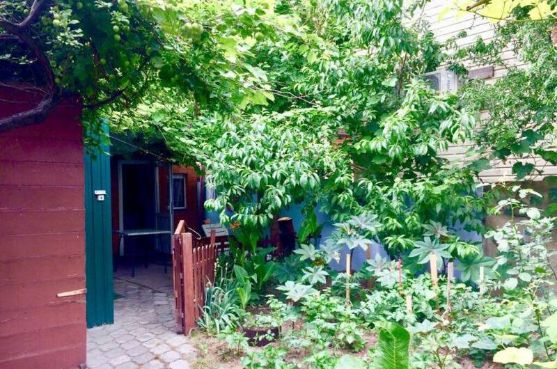 Изображение Изображение гостиницы &quot;Гостевой дом «Кефаль»&quot; #8 #6