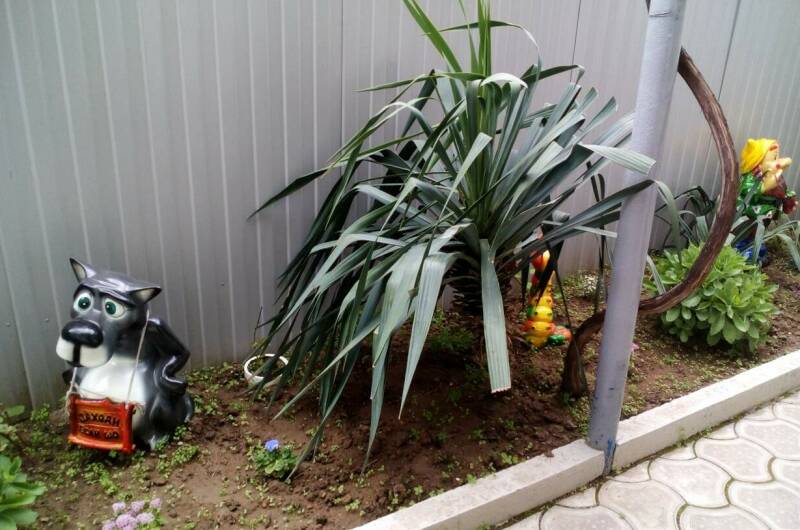 Изображение Изображение гостиницы &quot;Частный сектор на Самбурова 189а&quot; #7 #5