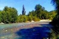 Изображение Изображение гостиницы &quot;Отель «ECO LIFE»&quot; #8 #6