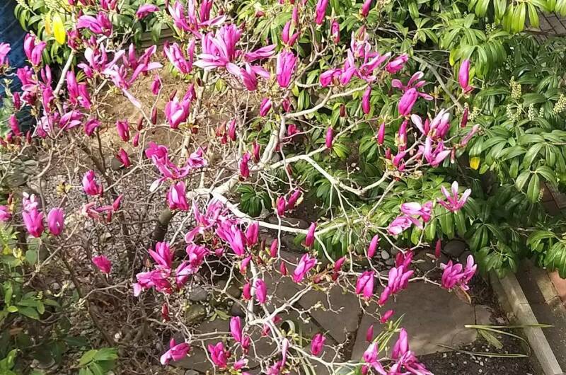 Изображение Изображение гостиницы &quot;Мини-отель «Итинисан» (1 2 3)&quot; #4 #2