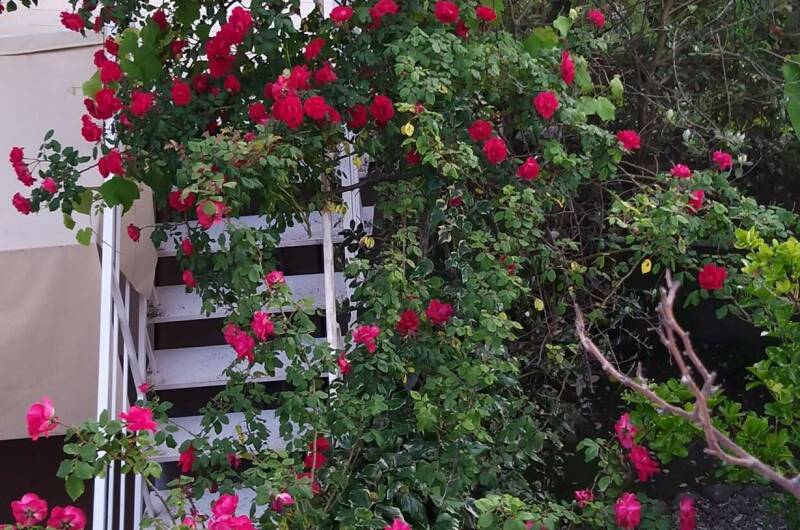 Изображение Изображение гостиницы &quot;Мини-отель «Итинисан» (1 2 3)&quot; #8 #6