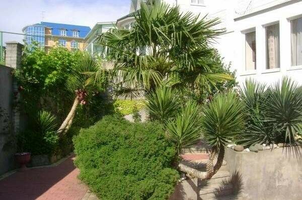 Изображение Изображение гостиницы &quot;Мини-отель «Итинисан» (1 2 3)&quot; #10 #8