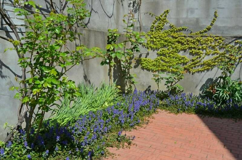 Изображение Изображение гостиницы &quot;Мини-отель «Итинисан» (1 2 3)&quot; #11 #9