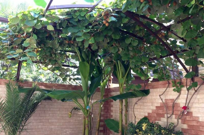 Изображение Изображение гостиницы &quot;Отель «Маргарита»&quot; #7 #5