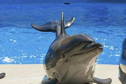 Изображение Изображение гостиницы &quot;Отель «Аркадия»&quot; #11 #9