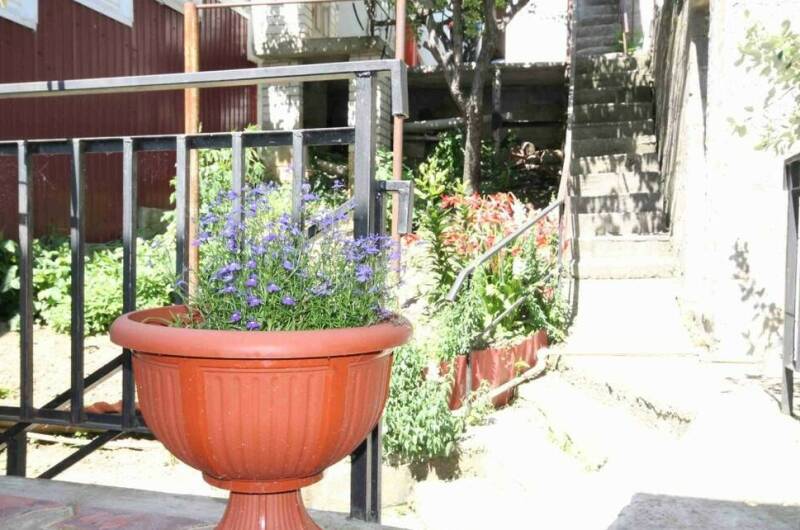 Изображение Изображение гостиницы &quot;Гостевой дом «Максим»&quot; #11 #9