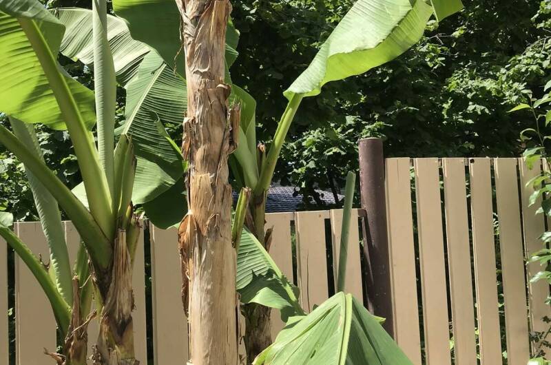 Изображение Изображение гостиницы &quot;Гостевой дом «На Заречной 2 Б»&quot; #7 #5