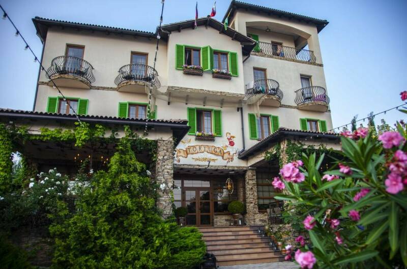 Изображение гостиницы "Гостиница «Tortuga»" #1