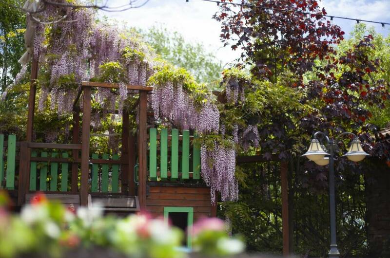 Изображение Изображение гостиницы &quot;Гостиница «Tortuga»&quot; #5 #3