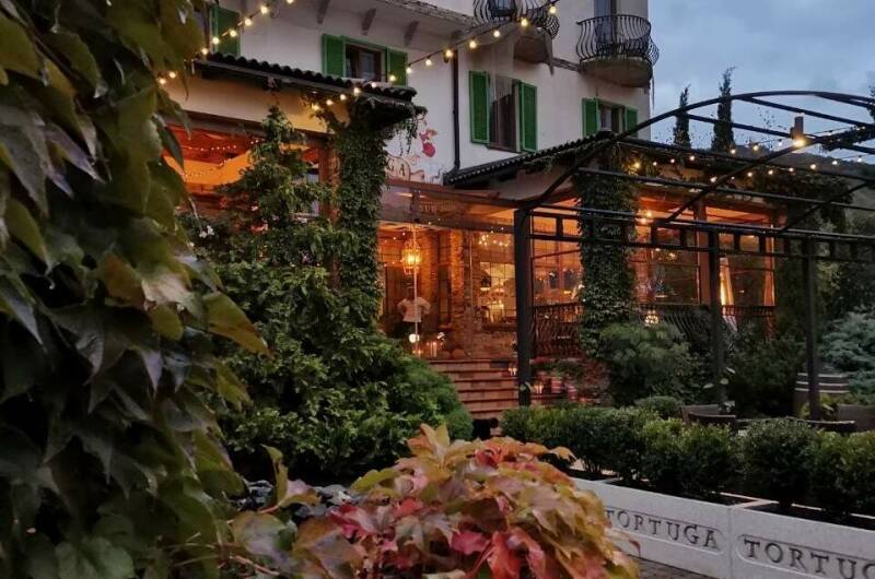 Изображение Изображение гостиницы &quot;Гостиница «Tortuga»&quot; #10 #8