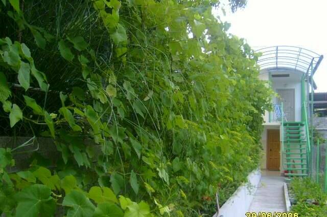 Изображение Изображение гостиницы &quot;Гостевой дом «У Николая»&quot; #4 #2