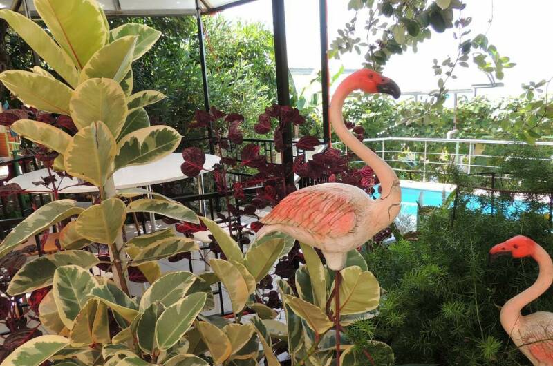 Изображение Изображение гостиницы &quot;Гостевой дом «У Николая»&quot; #8 #6