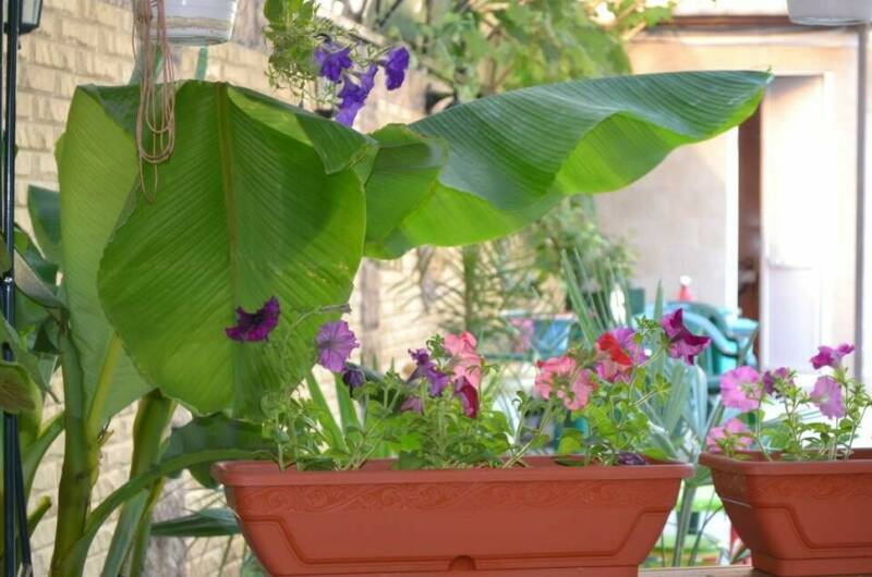 Изображение Изображение гостиницы &quot;Гостевой дом «Солнечный»&quot; #8 #6