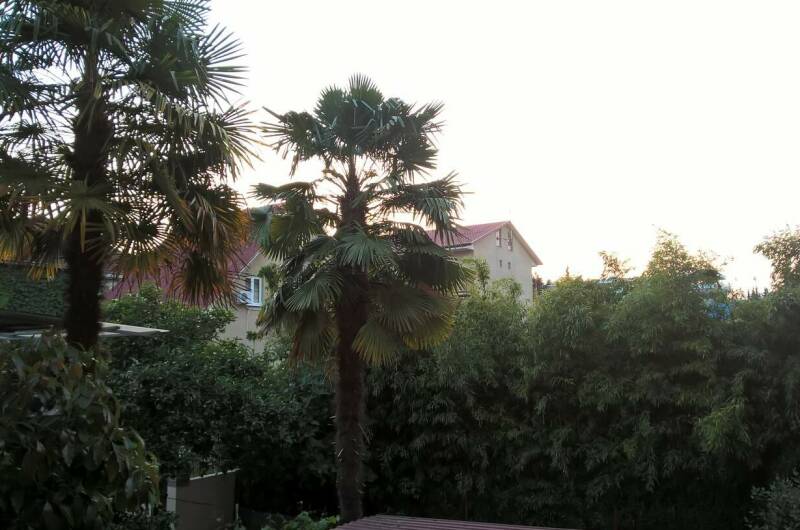 Изображение Изображение гостиницы &quot;Гостевой дом «Сабрина»&quot; #4 #2