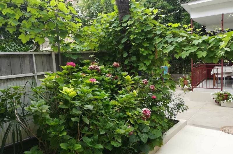 Изображение Изображение гостиницы &quot;Гостевой дом «Сабрина»&quot; #7 #5