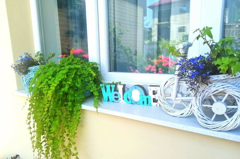 Изображение Изображение гостиницы &quot;Гостевой дом «Благодать»&quot; #11 #9