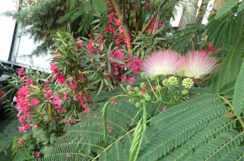 Изображение Изображение гостиницы &quot;Частный сектор на Лазарева&quot; #8 #6