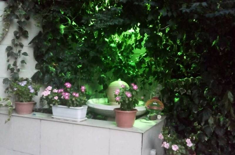 Изображение Изображение гостиницы &quot;Гостиница «Ника»&quot; #9 #7