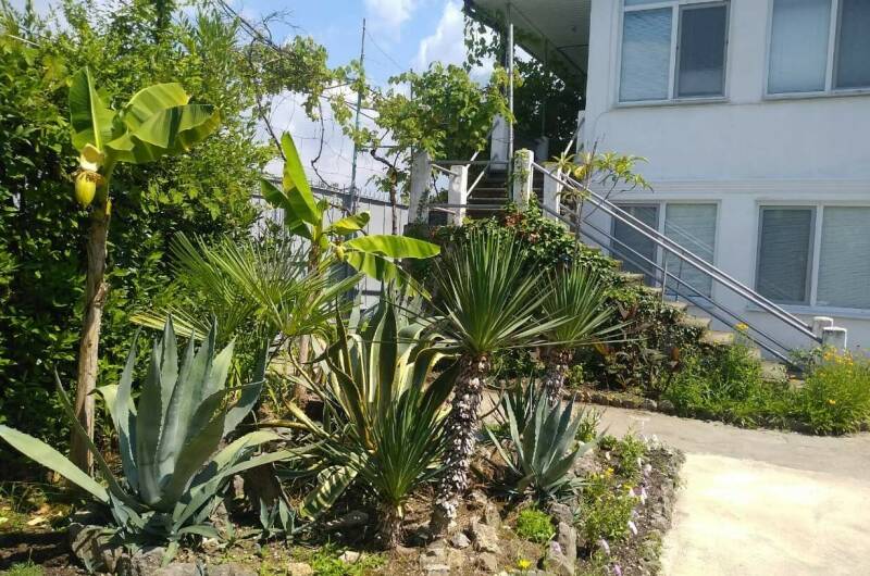 Изображение гостиницы "Гостевой дом «Бриз»" #1