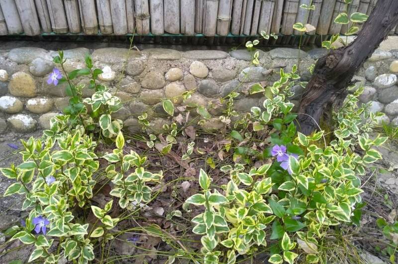 Изображение Изображение гостиницы &quot;Гостевой дом «Бриз»&quot; #4 #2