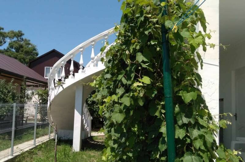 Изображение Изображение гостиницы &quot;Гостевой дом «Бриз»&quot; #7 #5