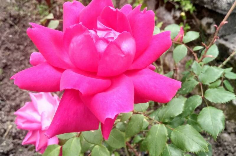 Изображение Изображение гостиницы &quot;Гостевой дом «Бриз»&quot; #11 #9