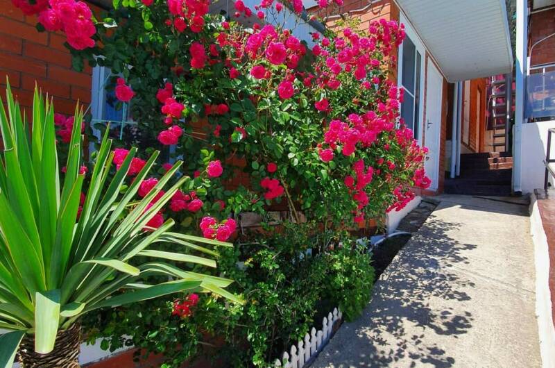 Изображение Изображение гостиницы &quot;Гостевой комплекс «Солнечный Эдем»&quot; #9 #7