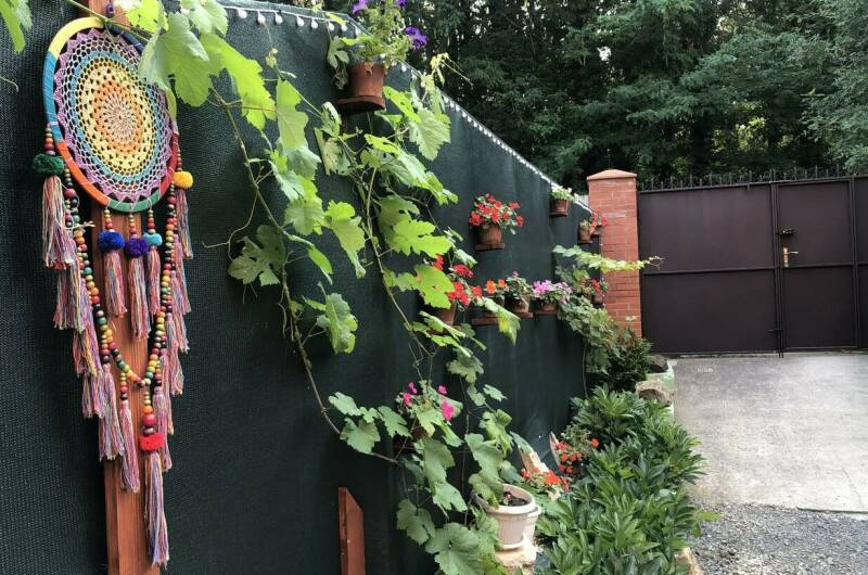 Изображение Изображение гостиницы &quot;Гостевой дом «Каштан»&quot; #3 #1