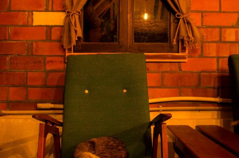 Изображение Изображение гостиницы &quot;Гостевой дом «Каштан»&quot; #11 #9