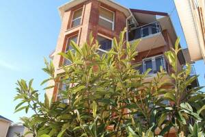 Изображение отеля / гостиницы "Гостевой дом «Диана»"