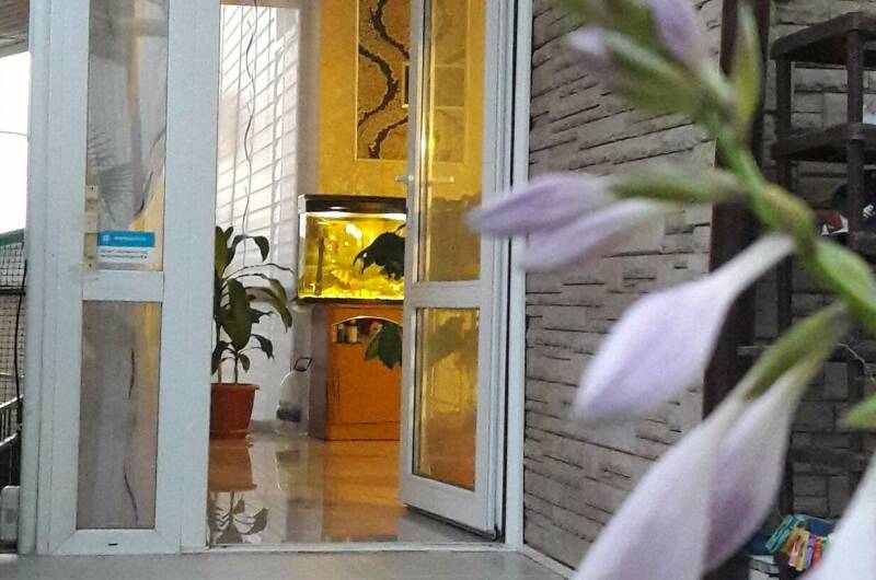 Изображение Изображение гостиницы &quot;Гостевой дом «Sun-City»&quot; #5 #3