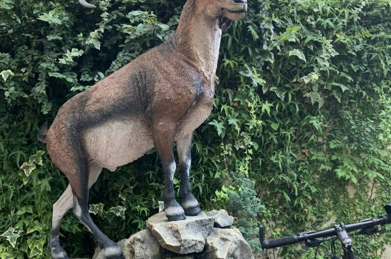 Изображение Изображение гостиницы &quot;Гостиница «Светлана»&quot; #5 #3