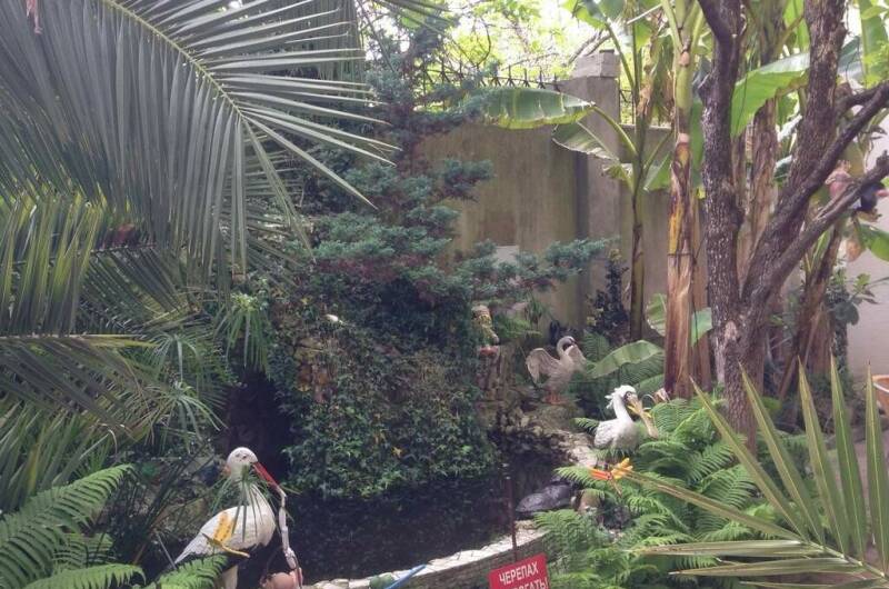 Изображение Изображение гостиницы &quot;Гостиница «Светлана»&quot; #6 #4