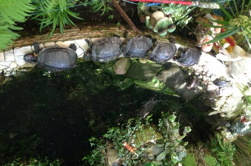 Изображение Изображение гостиницы &quot;Гостиница «Светлана»&quot; #8 #6