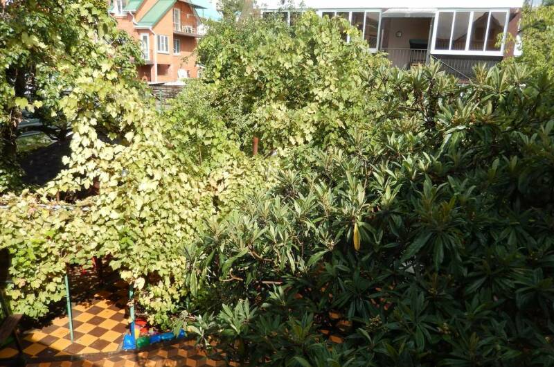 Изображение Изображение гостиницы &quot;Гостевой дом «Адель»&quot; #6 #4