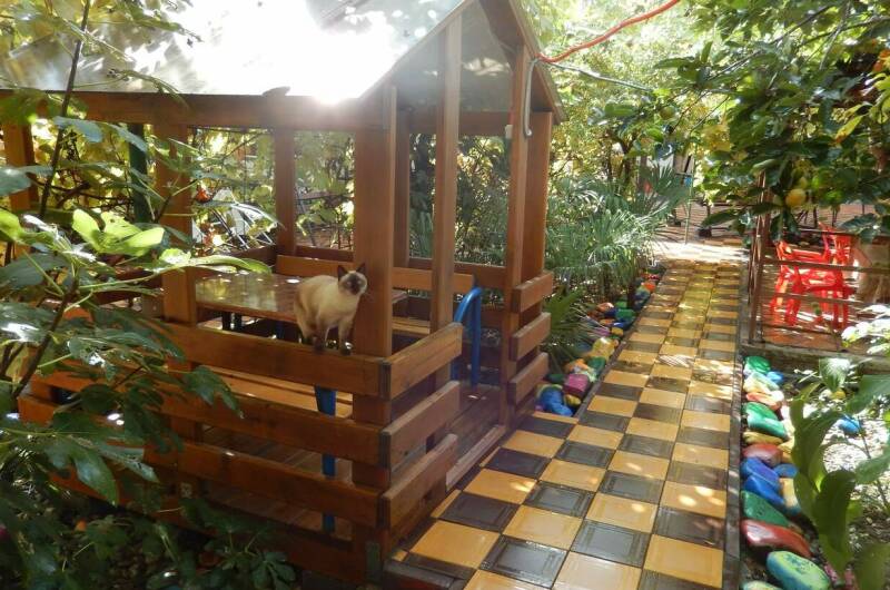 Изображение Изображение гостиницы &quot;Гостевой дом «Адель»&quot; #7 #5