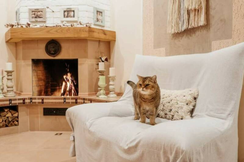 Изображение Изображение гостиницы &quot;Гостиница «Золотой Лев»&quot; #3 #1