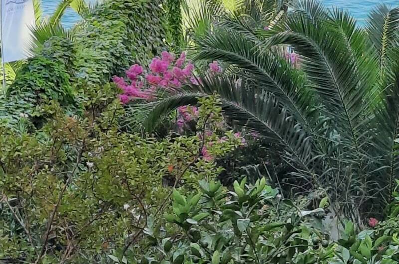 Изображение Изображение гостиницы &quot;Гостевой дом «Мистраль»&quot; #3 #1