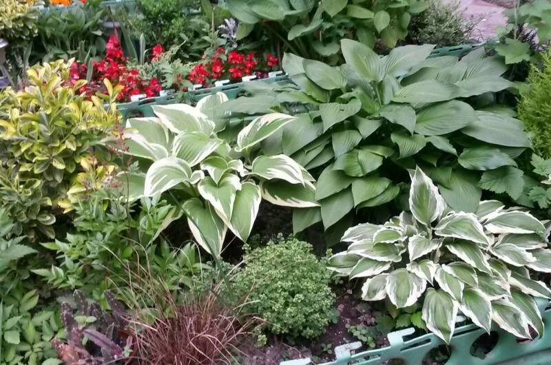 Изображение Изображение гостиницы &quot;Гостевой дом «Визит на Кольцевой»&quot; #11 #9