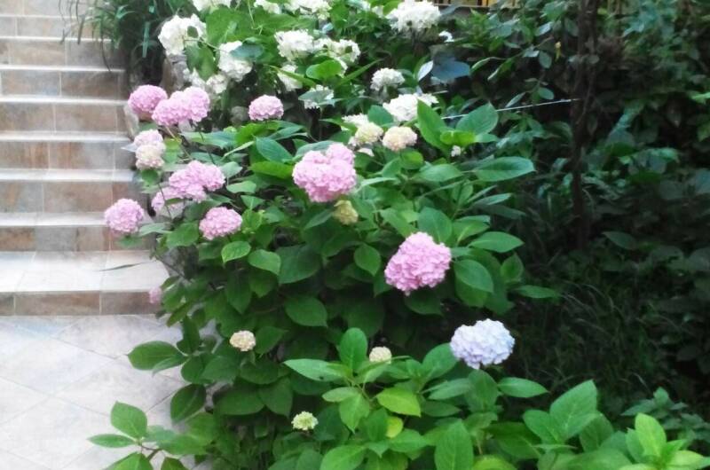 Изображение Изображение гостиницы &quot;Частный сектор «Дубрава»&quot; #3 #1