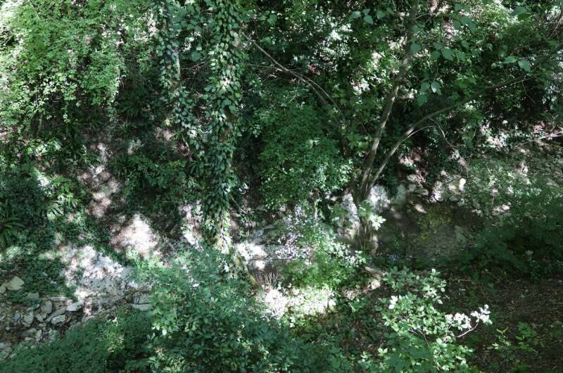 Изображение Изображение гостиницы &quot;Частный сектор «Дубрава»&quot; #5 #3