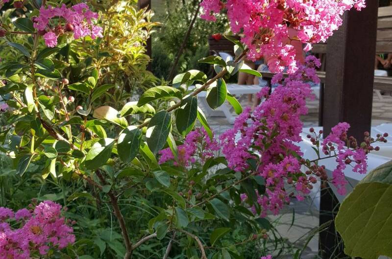 Изображение Изображение гостиницы &quot;Гостиница «Аннушка»&quot; #7 #5