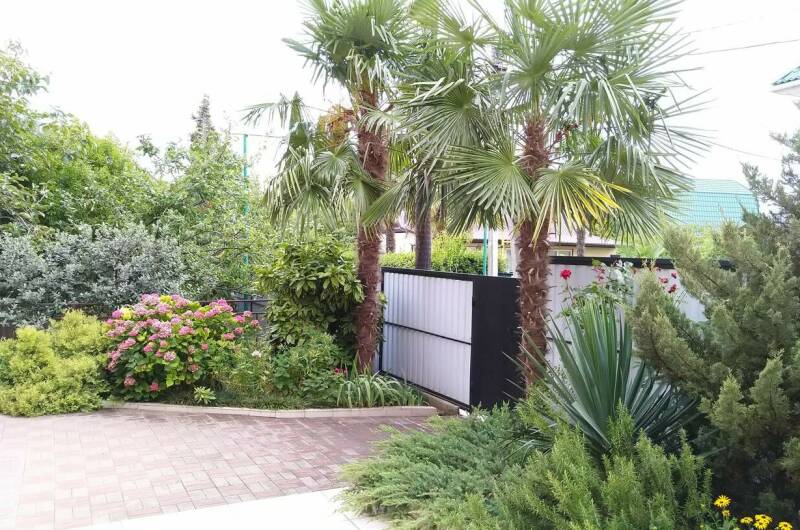 Изображение Изображение гостиницы &quot;Гостевой дом «В гостях у мамы Оли»&quot; #4 #2