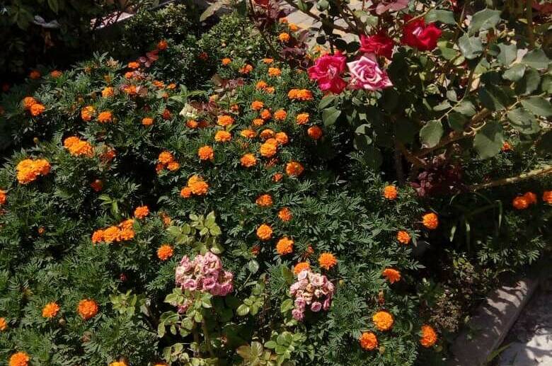 Изображение Изображение гостиницы &quot;Частный сектор «Людмила» на Тонком мысе&quot; #6 #4