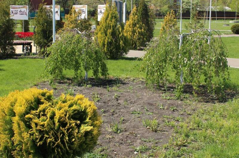 Изображение Изображение гостиницы &quot;Частный сектор «Людмила» на Тонком мысе&quot; #8 #6