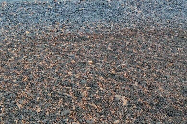 Изображение Изображение гостиницы &quot;Частный сектор «Людмила» на Тонком мысе&quot; #9 #7