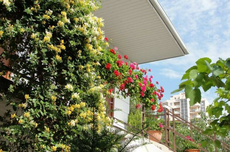 Изображение Изображение гостиницы &quot;Гостевой дом «Аир»&quot; #4 #2