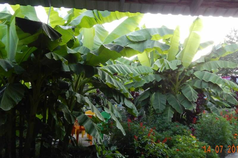 Изображение Изображение гостиницы &quot;Гостевой дом на Почтовом переулке&quot; #8 #6