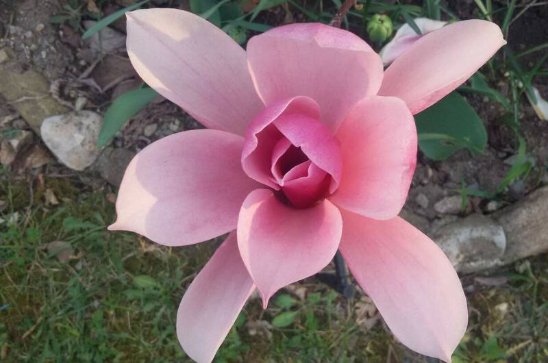 Изображение Изображение гостиницы &quot;Частное домовладение «Дионис»&quot; #6 #4