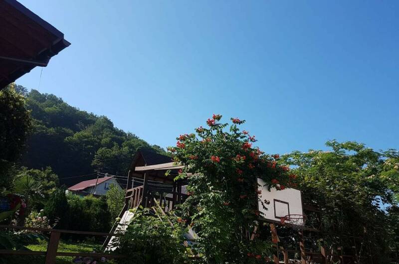 Изображение Изображение гостиницы &quot;Частное домовладение «Дионис»&quot; #9 #7